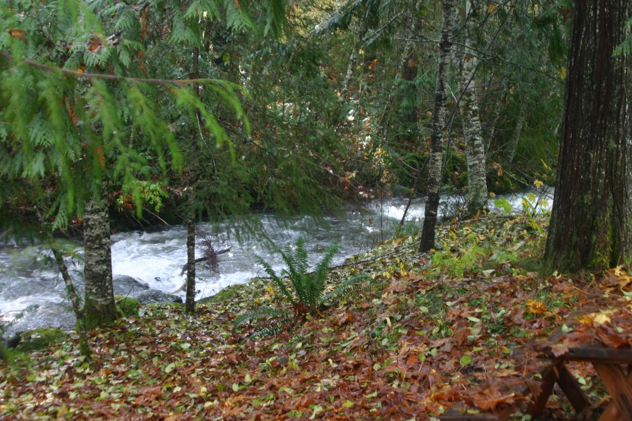 Copper Creek Inn Ashford Buitenkant foto